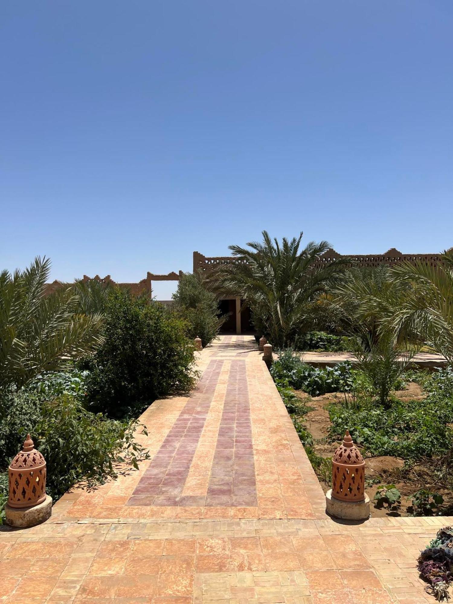מרזאוגה Sahara Sands Hotel מראה חיצוני תמונה